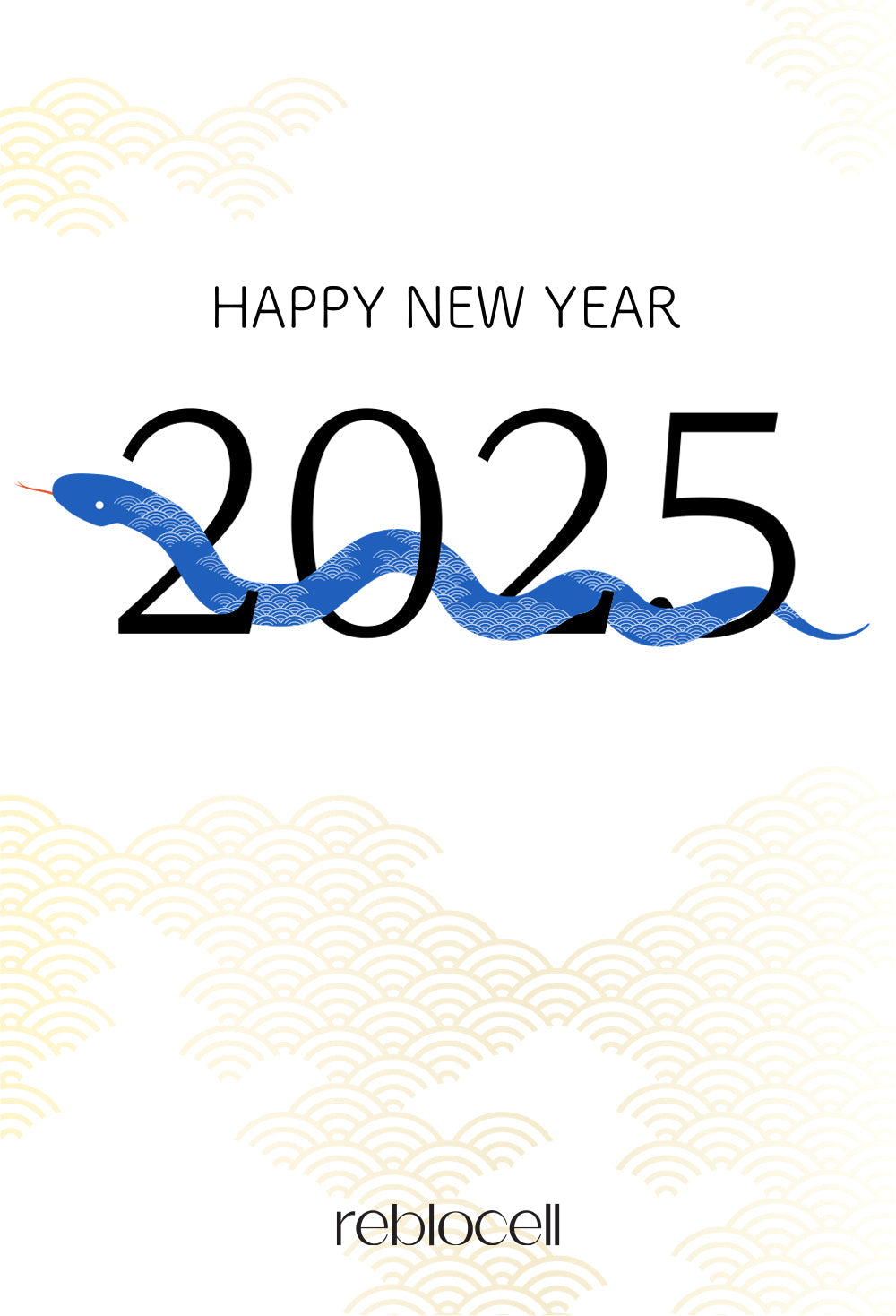 Happy 2025! Exciting News from Reblocell